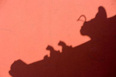 《使命召唤：黑色行动6》免费周末即将开启